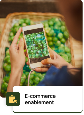 E-commerce enablement